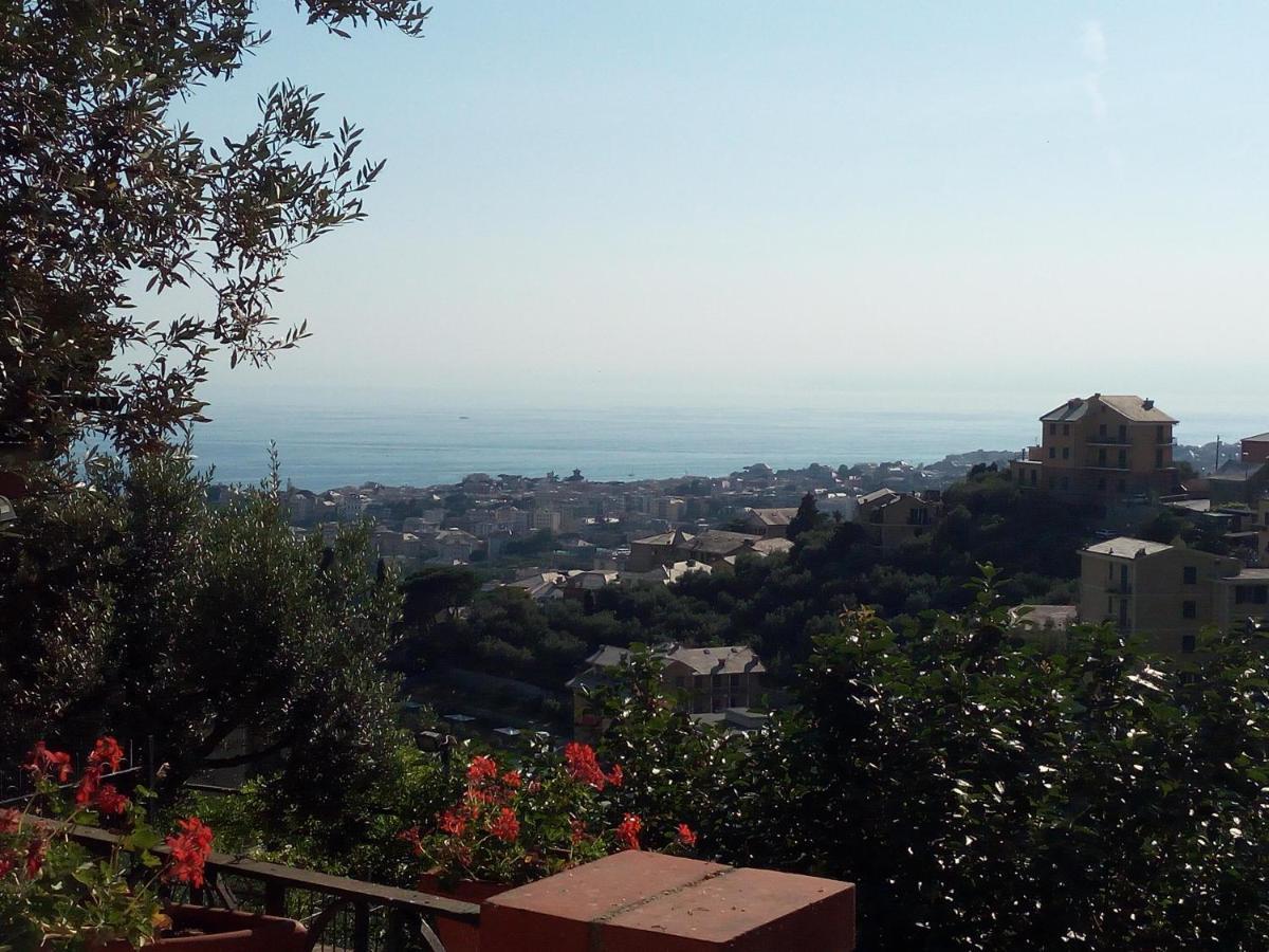 Chalet Villino Il Rustichetto