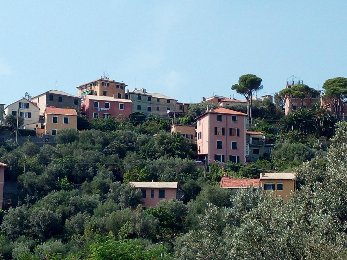 Chalet Villino Il Rustichetto Genova