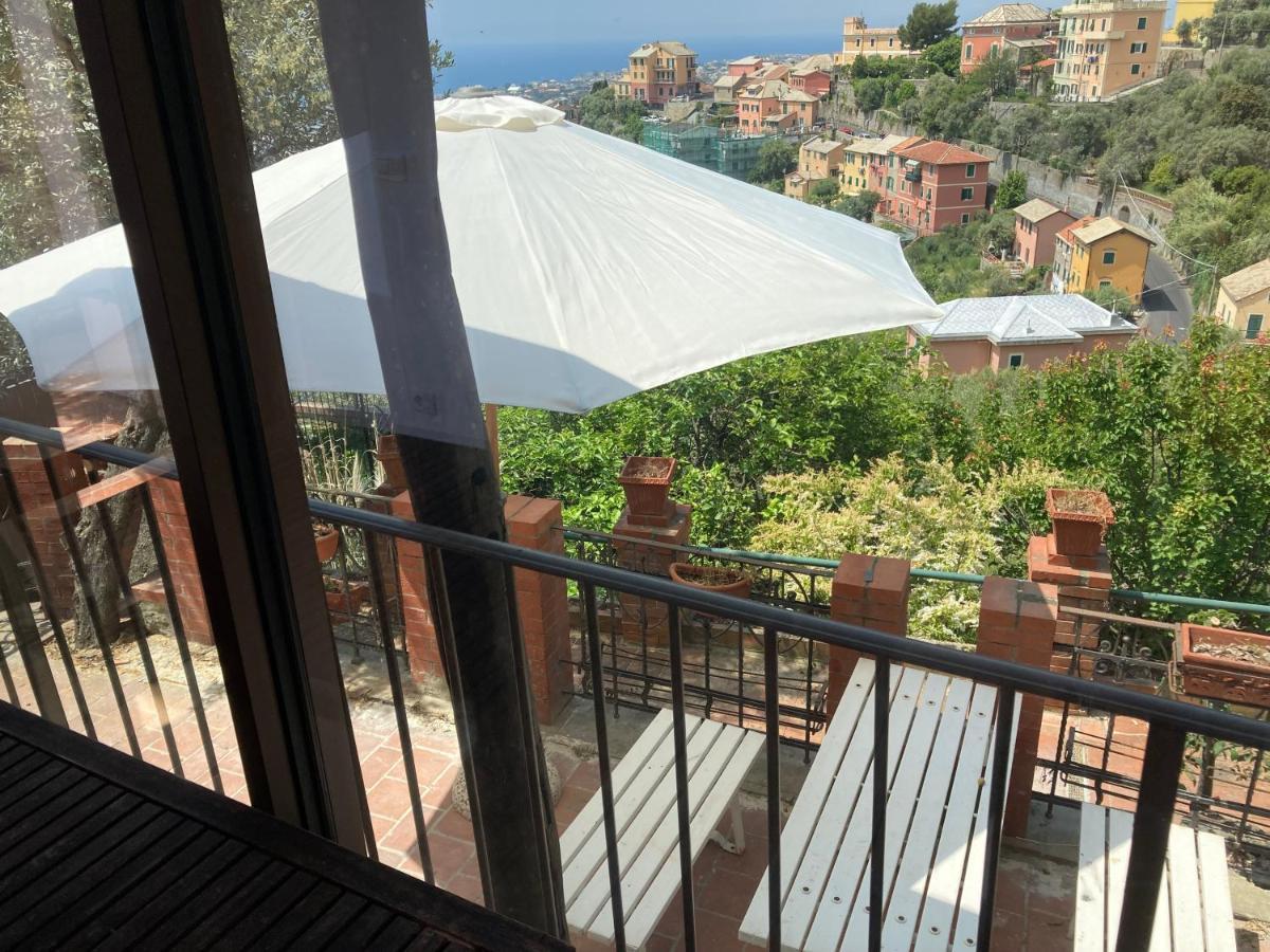 Chalet Villino Il Rustichetto